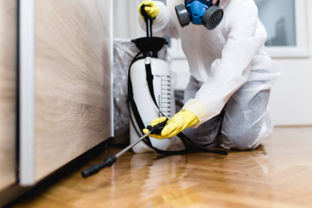 Reliable Marquette, MI Pest Control Solutions