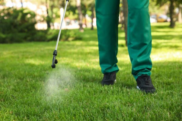 Best Wildlife Control Services  in Marquette, MI