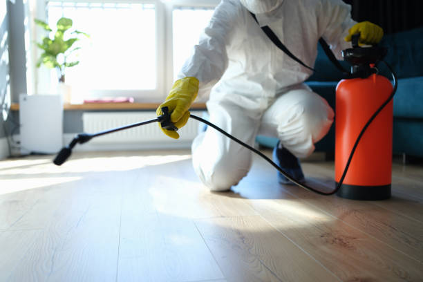 Best Mosquito Control Services  in Marquette, MI