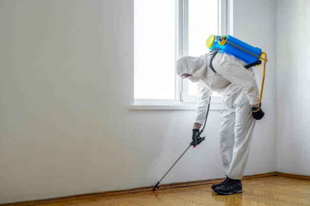 Best Wasp Removal Services  in Marquette, MI
