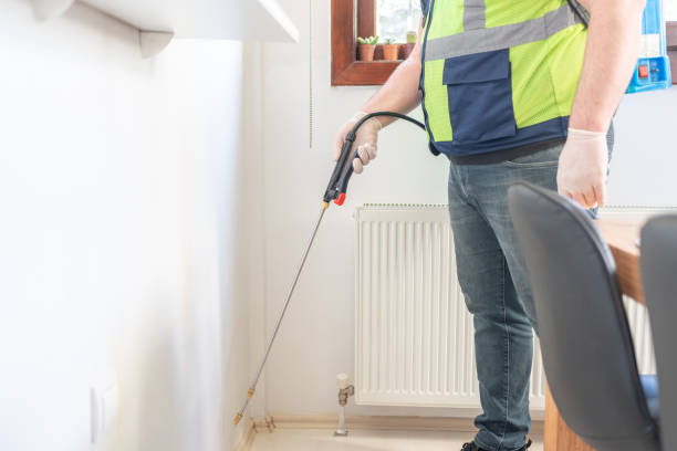 Best Ant Control Services  in Marquette, MI