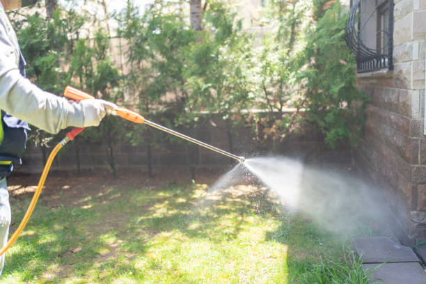 Best Affordable Pest Control Services  in Marquette, MI