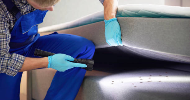 Best Termite Control Services  in Marquette, MI