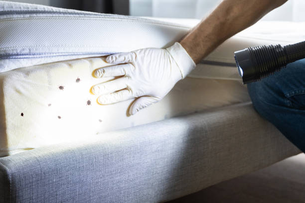 Best Exterminator Services  in Marquette, MI