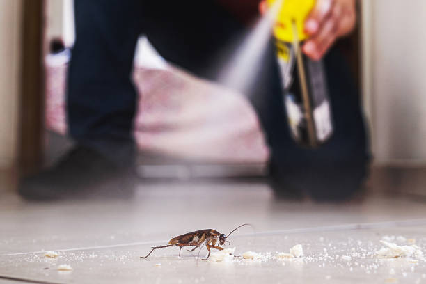 Best Cockroach Control Services  in Marquette, MI