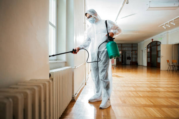Best Flea Control Services  in Marquette, MI