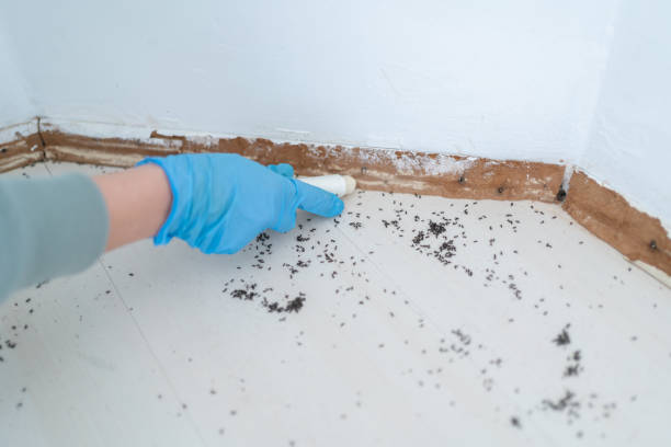 Best Pest Inspection Near Me  in Marquette, MI