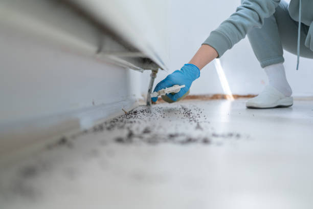 Best Pest Prevention Services  in Marquette, MI